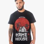 Remera Kame House de Dragon Ball